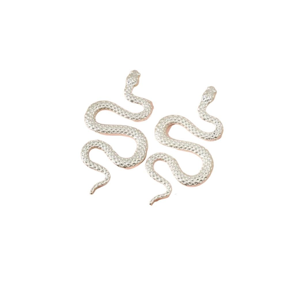 cercei SNAKES - cercei șarpe, argintii, texturați