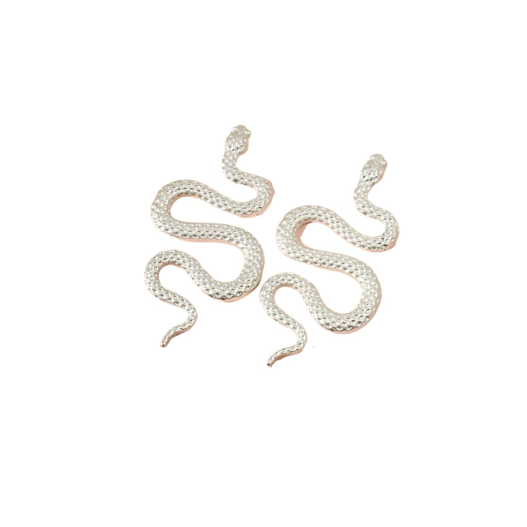 cercei SNAKES - cercei șarpe, argintii, texturați